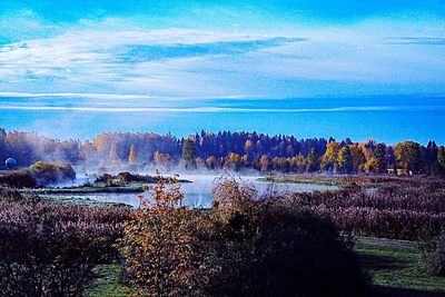 Scenic view of lake in forest against sky