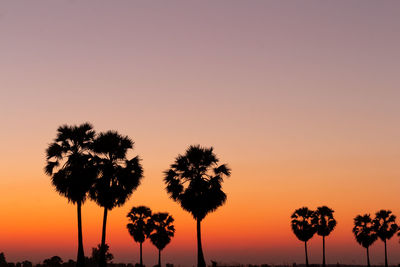 Silhouette palm trees against romantic sky at sunset