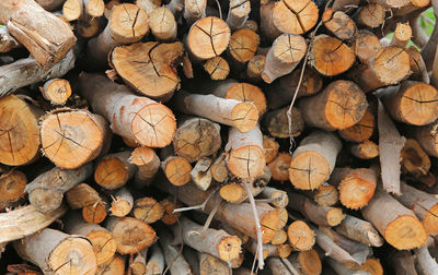 Full frame shot of logs in forest