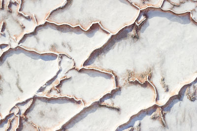 White-red texture of pamukkale calcium travertine in turkey, uneven pattern of big cells, close-up