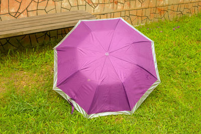 High angle view of purple  umbrella on field