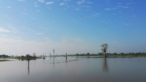 Scenic shot of calm lake against blue sky