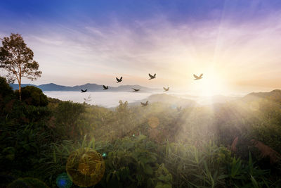 Scenic view of mountains against sky during sunset