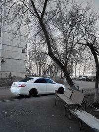 Cars on street in city