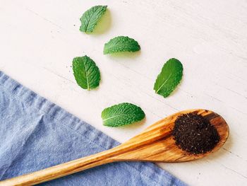 High angle view of leaf on table