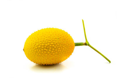 Close-up of yellow fruit against white background