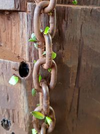 Close-up of rusty chain hanging on metal door