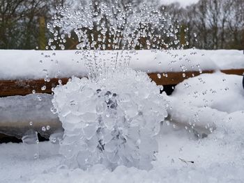 Close-up of snow covered plants against blurred background