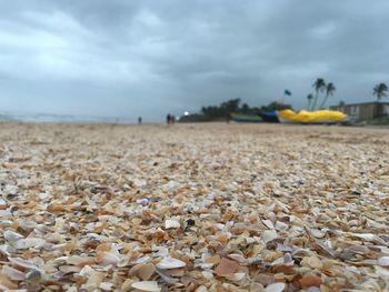 Close-up of pebbles on beach against sky