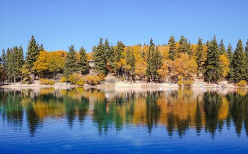 Scenic view of lake by trees against clear sky