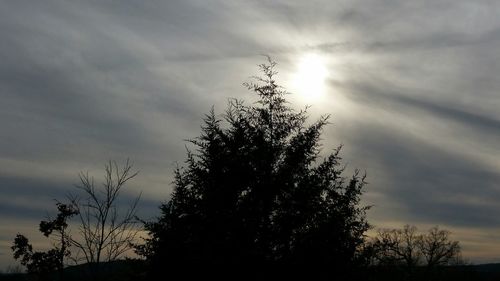 Low angle view of silhouette tree against sky at sunset