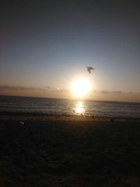 View of birds flying over sea at sunset