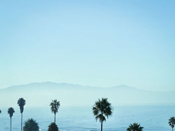 Scenic view of sea and palm trees against clear blue sky