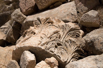 Close-up of rock on rocks