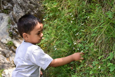 Side view of baby boy picking plants