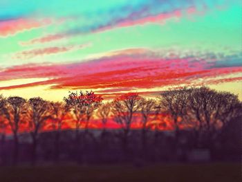 Scenic view of trees on field against sky at sunset