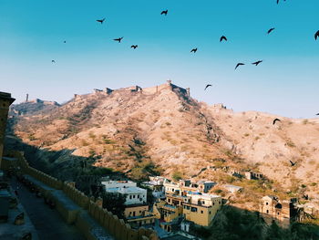 A flock of birds flying above the amer fort, jaipur, rajasthan, india.