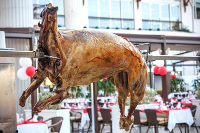 Whole lamb on a spit. roasted lamb meat. turkish meal