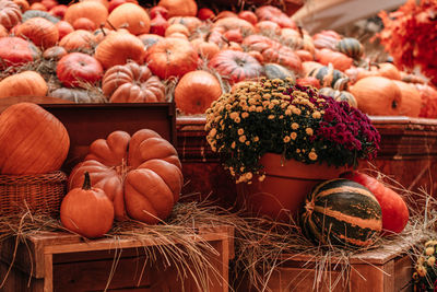 Fresh orange pumpkins in the hay at the farmer's market. halloween and thanksgiving.