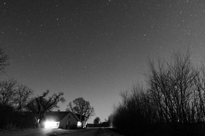 Silhouette trees by house against sky