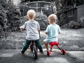 Rear view of boys friends