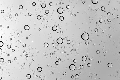 Abstract water drops on plain background, black and white photography