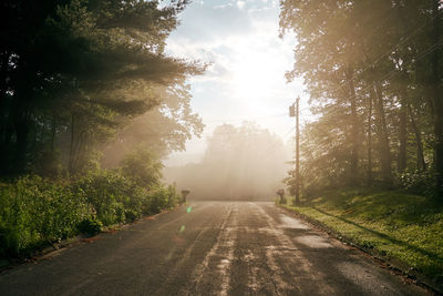 Road amidst trees against sky