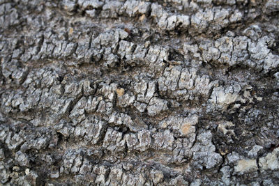 Full frame shot of cracked