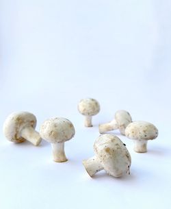 Close-up of mushrooms against white background