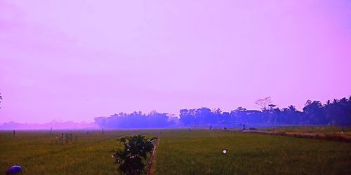 Scenic view of field against sky