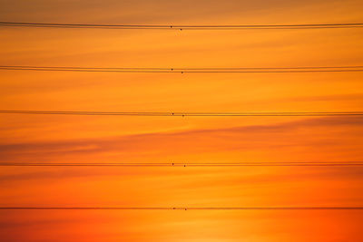 Low angle view of power lines against orange sky