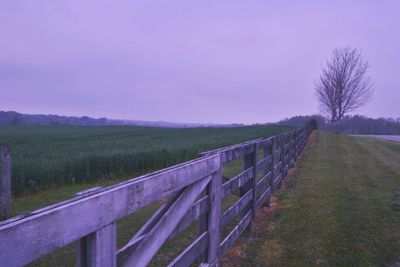 Bare trees on grassy field