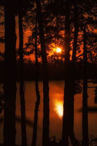 Silhouette trees by lake during sunset