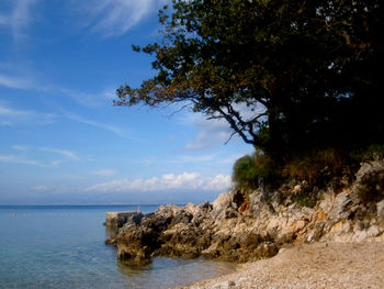 Scenic view of calm sea