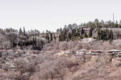 View of trees on landscape against clear sky