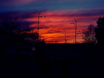 Silhouette trees against sky during sunset