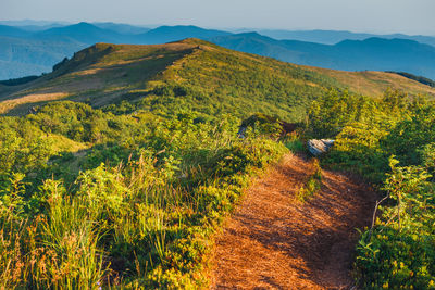 Scenic view of field and mountains against sky