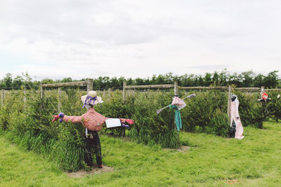 Scarecrows at farm