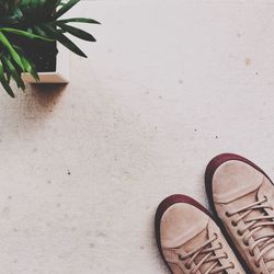 High angle view of shoes on plant