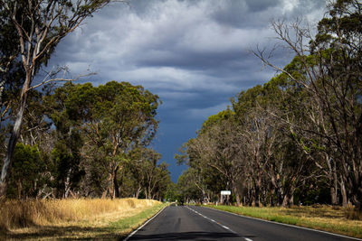 Road amidst trees against sky