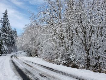 Snow covered road amidst trees during winter