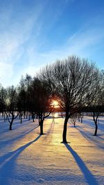 Trees on snow covered field against sky during winter