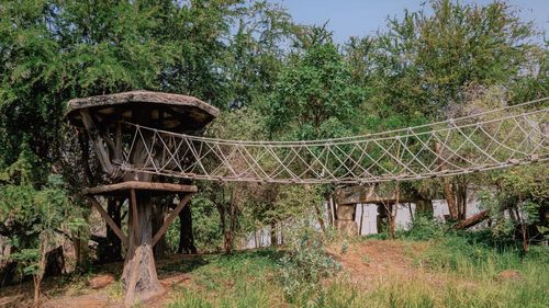 View of bridge in forest