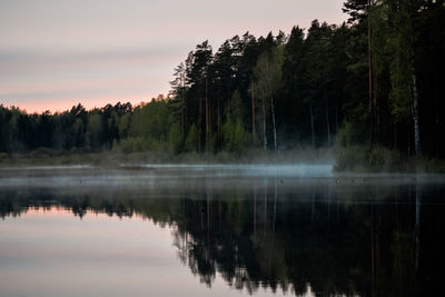 Reflection of trees in lake at sunset