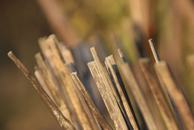 Close up of wooden sticks