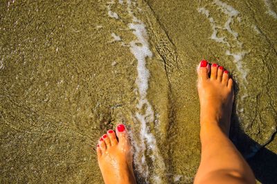 Low section of woman legs on beach