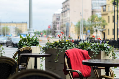 View of potted plants on sidewalk cafe