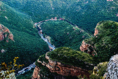 High angle view of rocks in forest