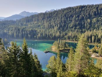 Scenic view of lake and trees against sky