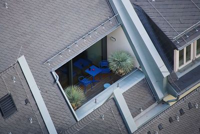 High angle view of cat by window on building